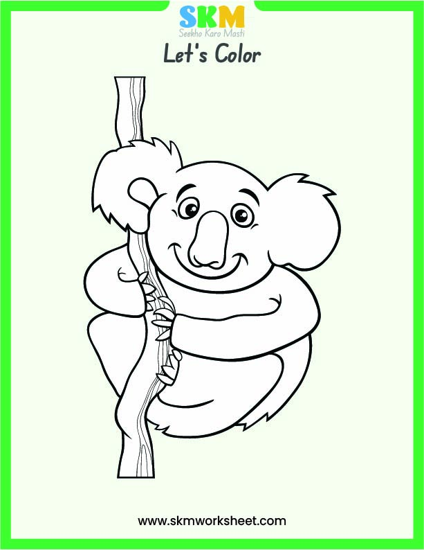 color the koala colouring worksheet